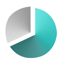 IT Consulting